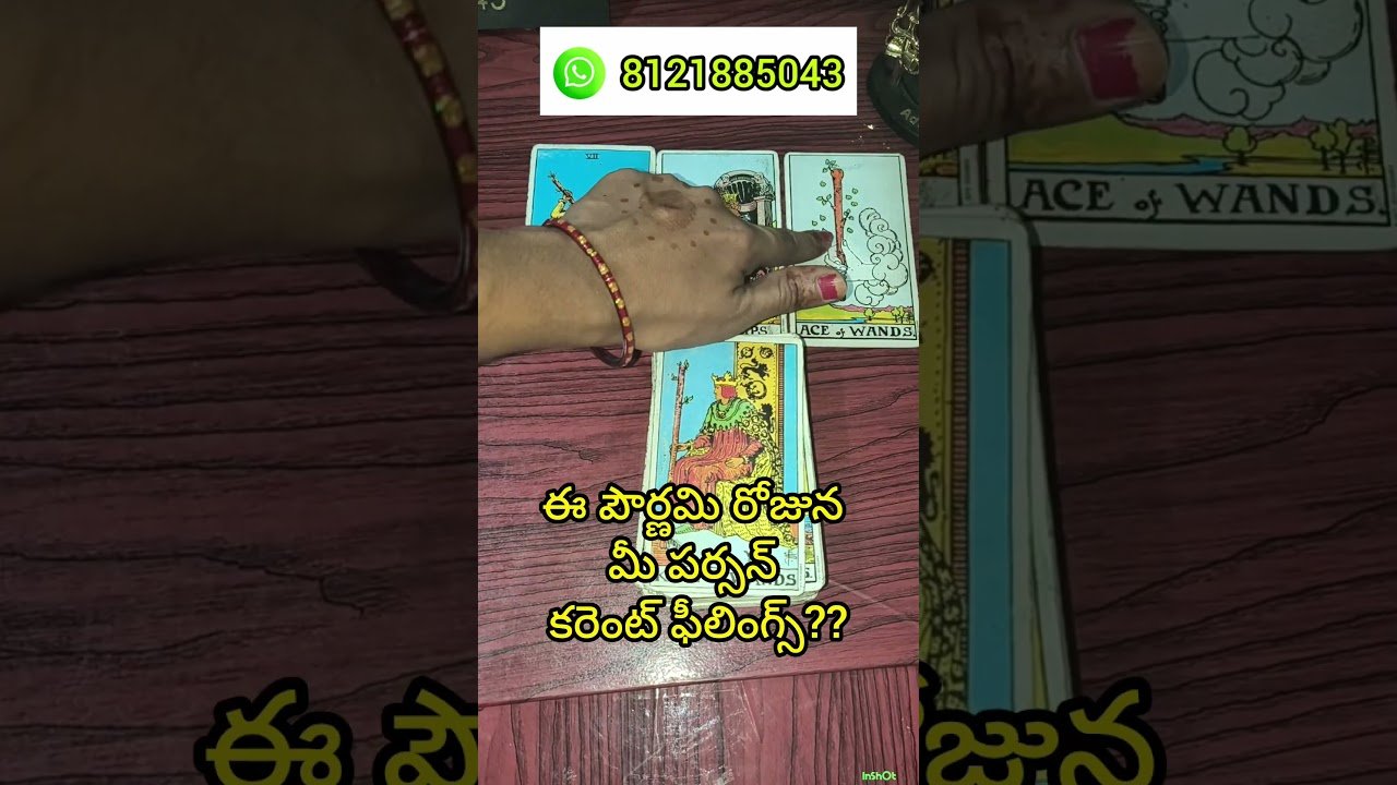 No momento, você está visualizando పౌర్ణమి రోజున మీ పర్సన్ కరెంట్ ఫీలింగ్స్???#shorts#tarot#telugu#vishwattarot#love