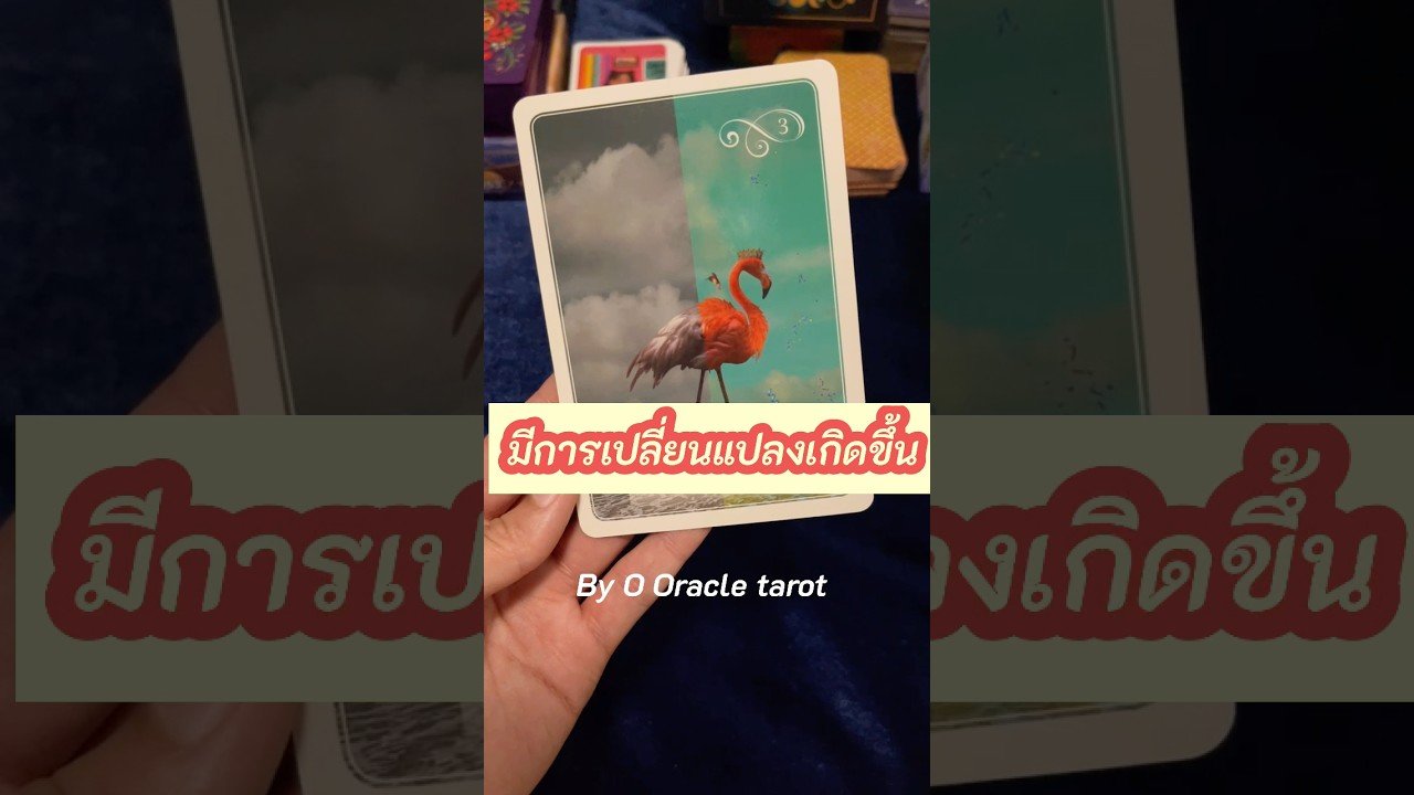 No momento, você está visualizando มีการเปลี่ยนแปลงเกิดขึ้น #tarot #ooracletarot #pickacard #ดูดวงไพ่ยิปซี #ไพ่ยิปซี #tarotreader