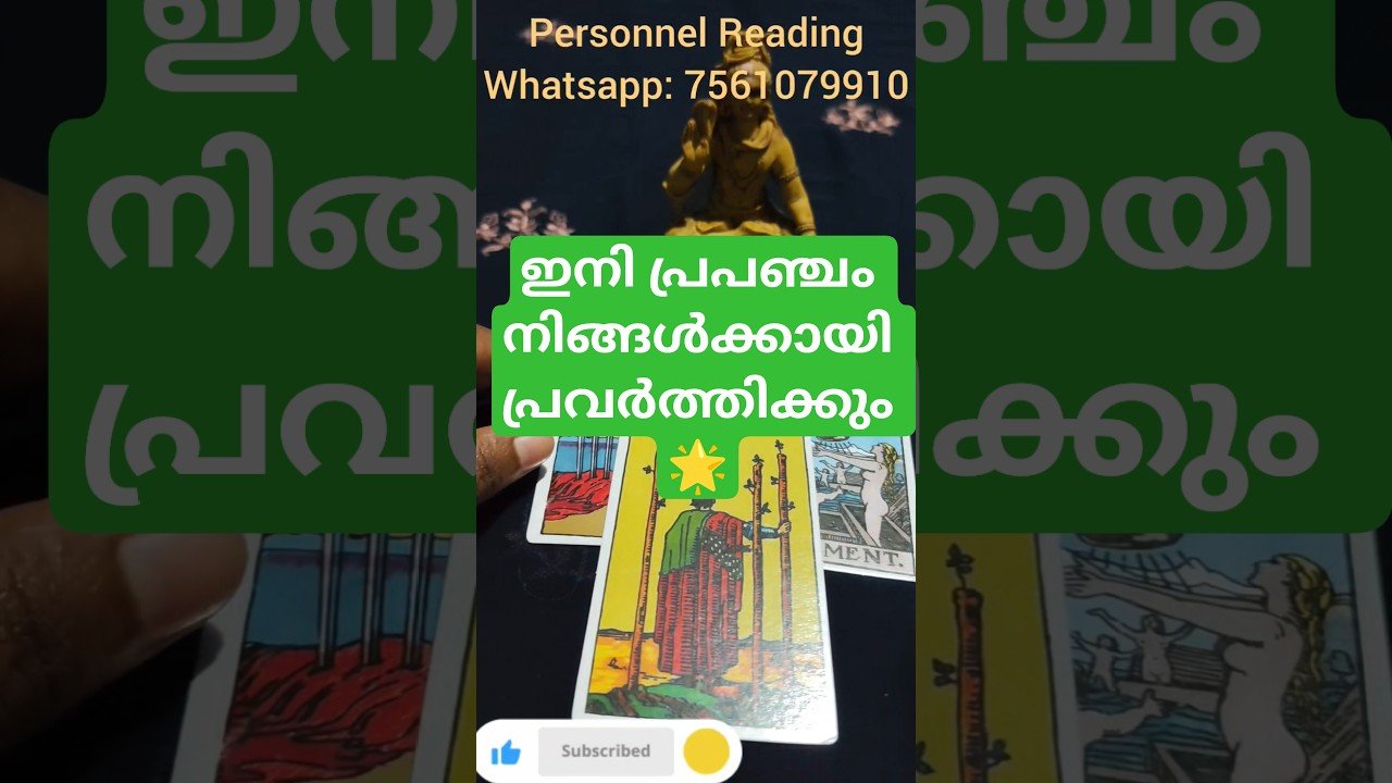 No momento, você está visualizando ദൈവം നിങ്ങളെ കാണുന്നുണ്ട് 💫 #tarot #whatscomingupinlovelife #cardoftheweek
