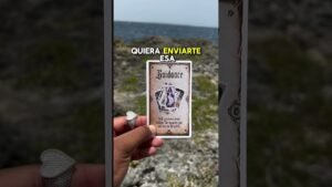 Leia mais sobre o artigo Actívalo 🙏 #feedshorts #tarot #lecturadetarot #usa #fyp #viral #shorts #foryou