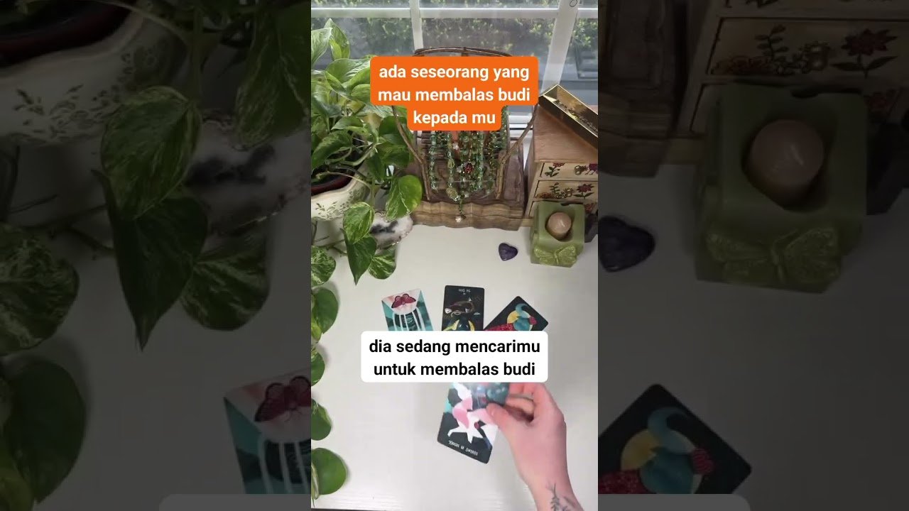 No momento, você está visualizando Ada seseorang yang mau membalas budi kepada mu #tarotreading #tarot #ramalan #shortvideo