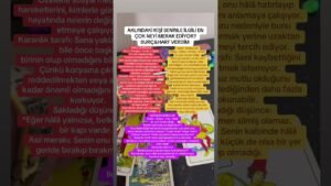 Leia mais sobre o artigo Aklındaki kişi seninle ilgili en çok neyi merak ediyor ? #tarot #youtubeshorts #keşfetbeniöneçıkar