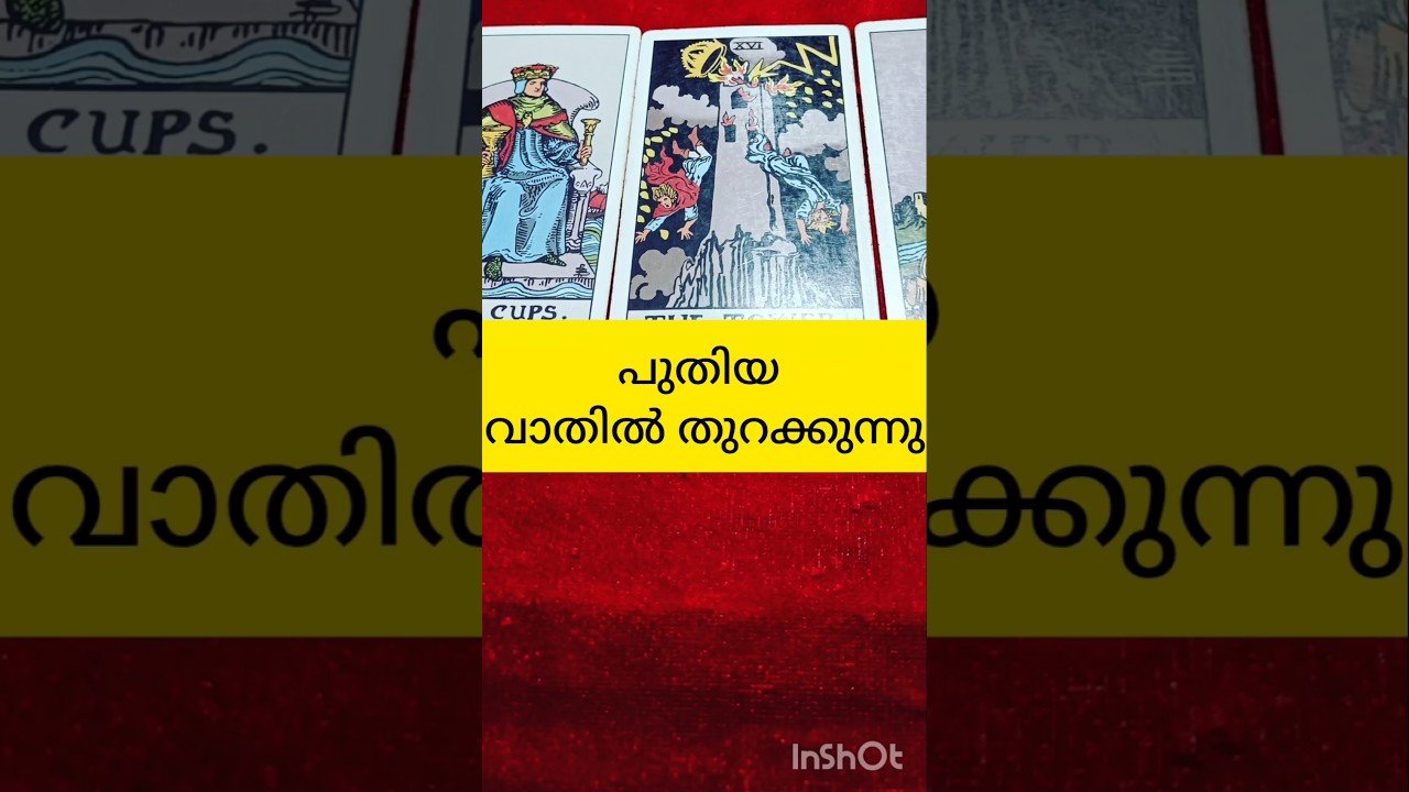 No momento, você está visualizando വാതിൽ തുറക്കുന്നു #tarot #shortvideo #shortsfeed