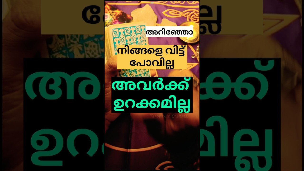 No momento, você está visualizando എന്തു സംഭവിച്ചാലും, അവർ നിങ്ങളെ വിട്ടു പോകില്ല. കാരണം ഇതാണ് Tarot Reading Malayalam #shorts #tarot