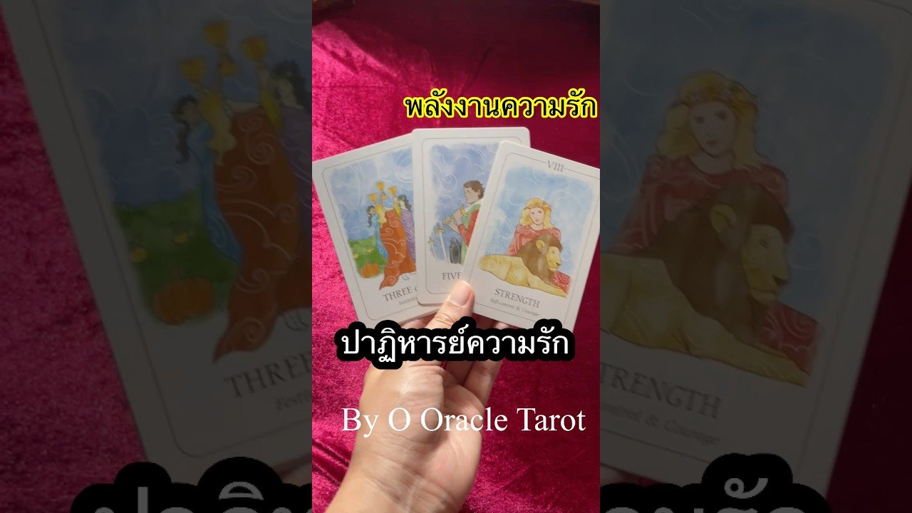 No momento, você está visualizando พลังงานความรัก #tarot #tarot #ooracletarot #pickacard #tarotreader #ดูดวงไพ่ยิปซี #ไพ่ยิปซี #tarot