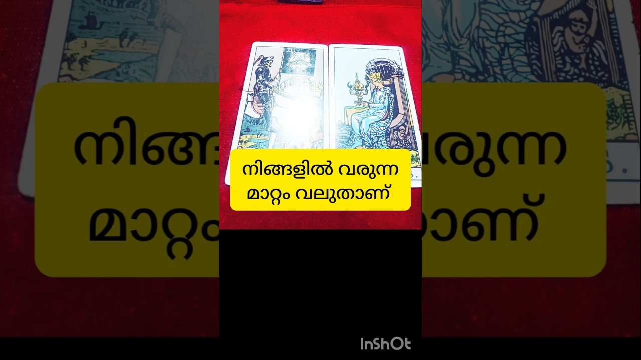 No momento, você está visualizando big transformation #tarot #shortvideo #shortsfeed