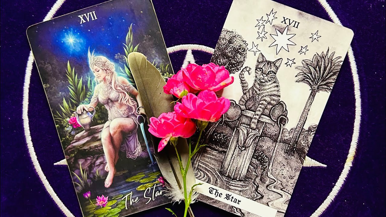 No momento, você está visualizando Co Ci przyniesie jesień ? 🍂 spotkanie z połykiem 😂🤭 NIEDZIELNA HERBATKA 🔮 #tarot #wróżby