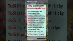 Leia mais sobre o artigo Cổ Nhân – Giải Mã Bí Ẩn Từ Bài Tarot