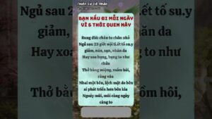 Leia mais sobre o artigo Cổ Nhân – Giải Mã Bí Ẩn Từ Bài Tarot