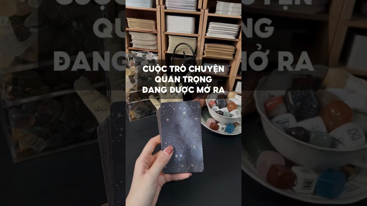 No momento, você está visualizando Cuộc trò chuyện quan trọng đang được mở ra #tarot #duongtarot #tarotvietnam #tarotonline #tinhyeu