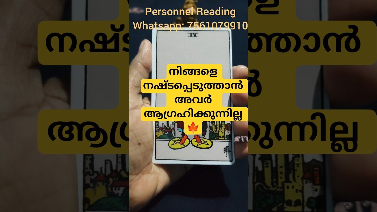 No momento, você está visualizando Current Feelings of Your Person ❤️ #tarot #cardoftheweek #whatscomingupinlovelife