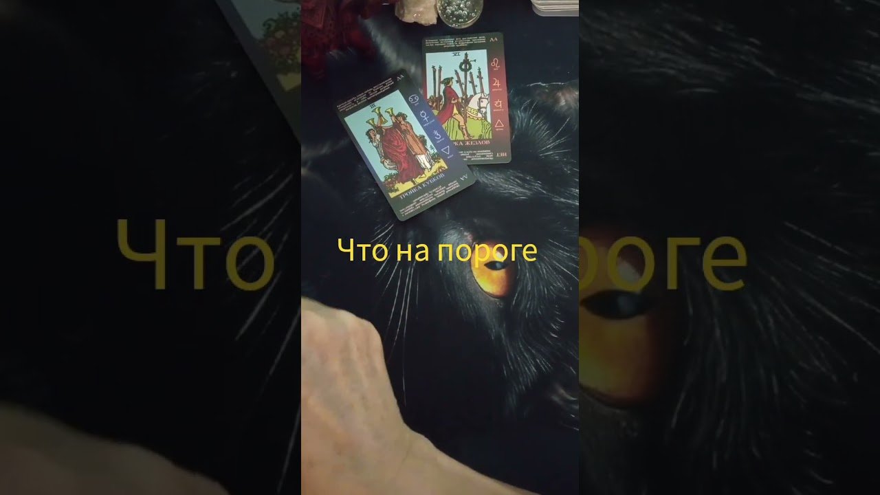 No momento, você está visualizando полное видео на канале @taropsihologiaaigul #таро #tarot #tarotcards #картытаро #раскладтаро