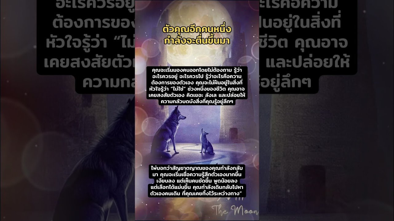 No momento, você está visualizando 🔮Random | ตัวตนภายในของคุณกำลังตื่น #tarot #tarotreading #pickacard #fyp #foryou