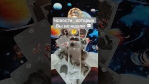 Leia mais sobre o artigo 🕊️😯 Новости , которых Вы не ждали 💯   #таро #tarot #гадание #таролог #shorts #shortvideo #картытаро