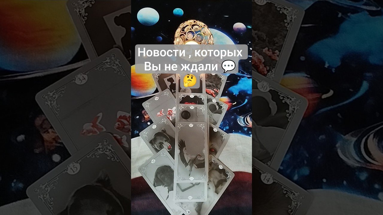 No momento, você está visualizando 🕊️😯 Новости , которых Вы не ждали 💯   #таро #tarot #гадание #таролог #shorts #shortvideo #картытаро