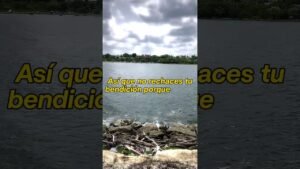 Leia mais sobre o artigo Este Mensaje Es Una Bendición, No Lo Rechaces🍀 #tarot #viral #abundancia #viralvideo #fyp
