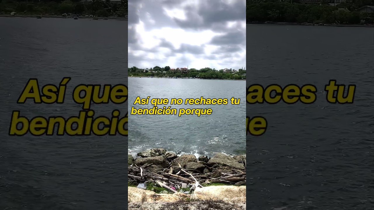 No momento, você está visualizando Este Mensaje Es Una Bendición, No Lo Rechaces🍀 #tarot #viral #abundancia #viralvideo #fyp