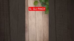 Leia mais sobre o artigo GLI PIACI ANCHE SE…NON SI SENTE SICURO🔮 #itarocchidicristy #tarocchi #tarot #tarocchioggi