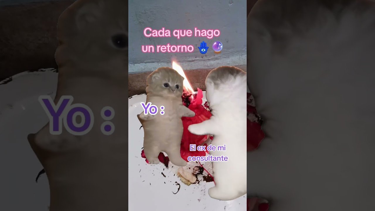 No momento, você está visualizando Hacer retornos de amor es mi pasión #amor #youtubeshorts #shortvideo #tarot  #amarres #bruja #parati