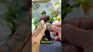 Leia mais sobre o artigo #hechizo #amarresdeamor #tarot #usa🇺🇸 #rituales