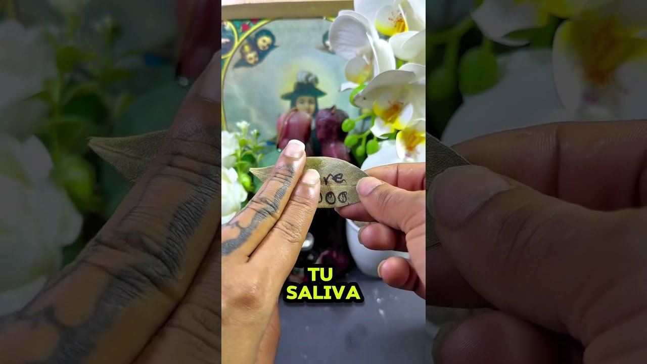 No momento, você está visualizando #hechizo #amarresdeamor #tarot #usa🇺🇸 #rituales