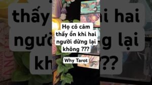 Leia mais sobre o artigo HỌ CÓ CẢM THẤY ỔN KHI HAI NGƯỜI DỪNG LẠI? (timeless) #tarot #tarotreading #whytarot  #tarotreader