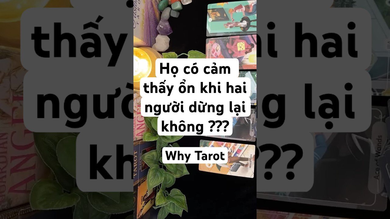No momento, você está visualizando HỌ CÓ CẢM THẤY ỔN KHI HAI NGƯỜI DỪNG LẠI? (timeless) #tarot #tarotreading #whytarot  #tarotreader