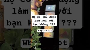 Leia mais sobre o artigo HỌ CÓ CHỦ ĐỘNG LÀM HÒA VỚI BẠN KHÔNG?? (timeless) #tarot #whytarot  #tarotreader #tarotreading