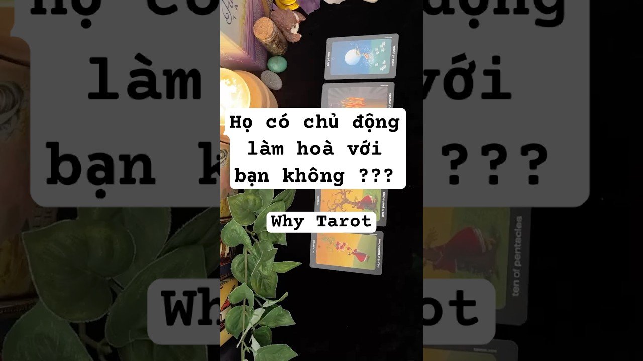 No momento, você está visualizando HỌ CÓ CHỦ ĐỘNG LÀM HÒA VỚI BẠN KHÔNG?? (timeless) #tarot #whytarot  #tarotreader #tarotreading