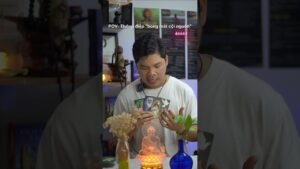 Leia mais sobre o artigo Hoàng Anh Tarot: Thông điệp tâm linh “Bóng mát cội nguồn”