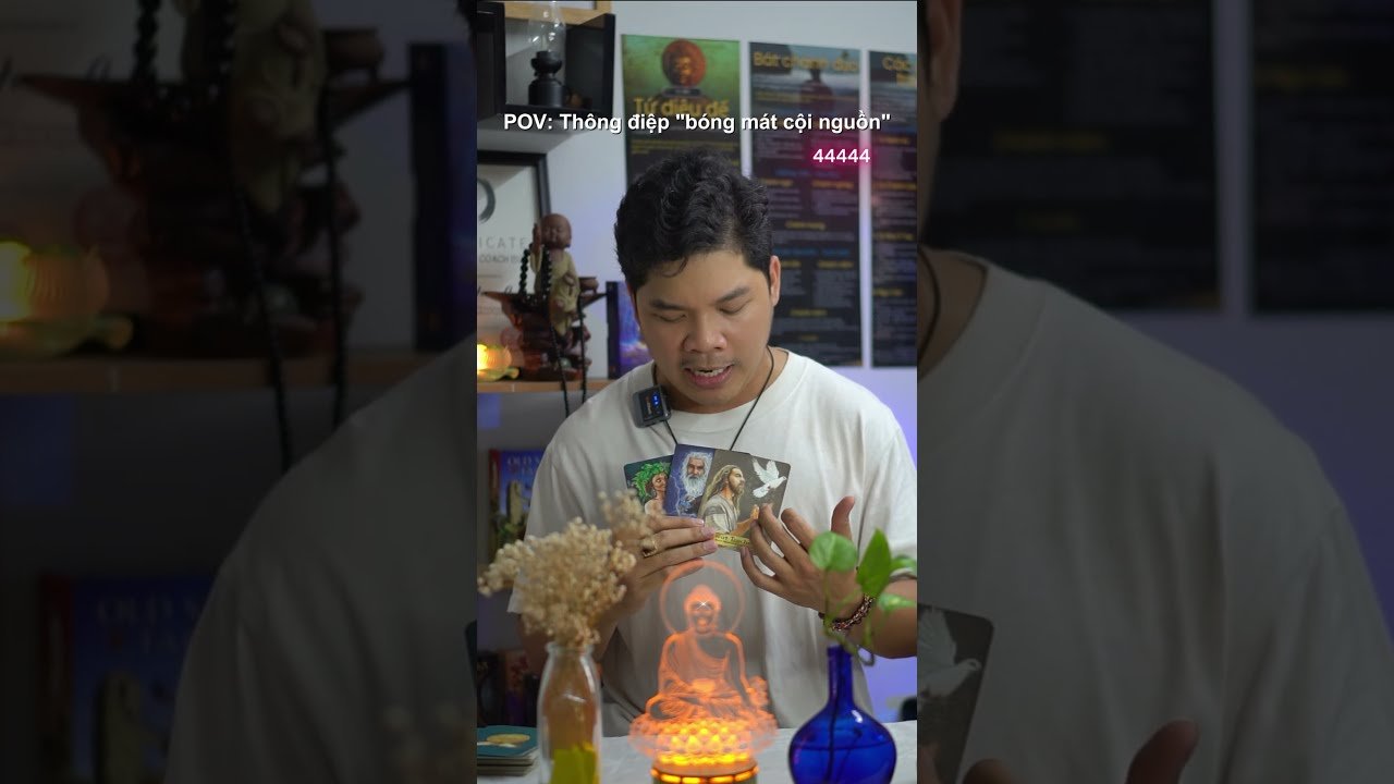No momento, você está visualizando Hoàng Anh Tarot: Thông điệp tâm linh “Bóng mát cội nguồn”