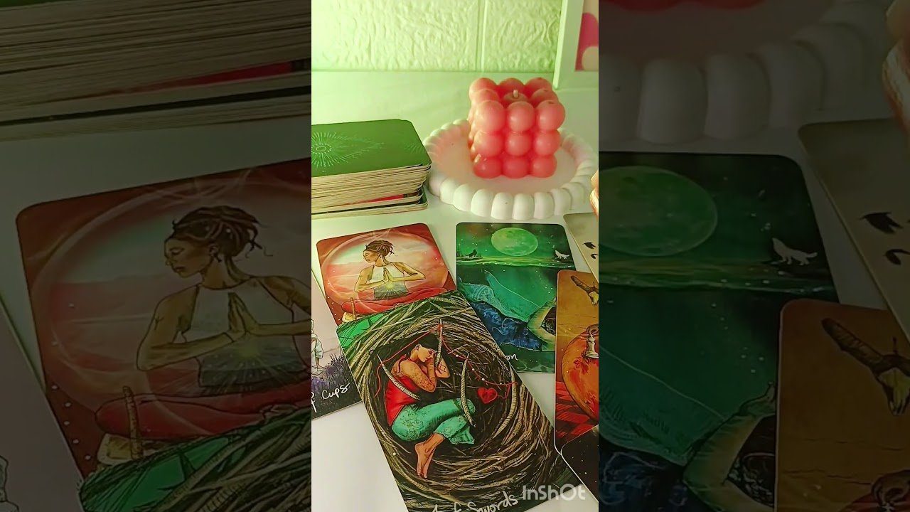 No momento, você está visualizando is that person green flag or not?? 😂😭❤️|| Vanshika’s Tarot|| #explore #trending #viral #tarot