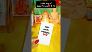 Leia mais sobre o artigo Love Msg🌹🌿♥️ #tarot #tarotreading #love #soulmate #twinflame #dmtodf #twinflames ‎⁨@Tarot.Speaks