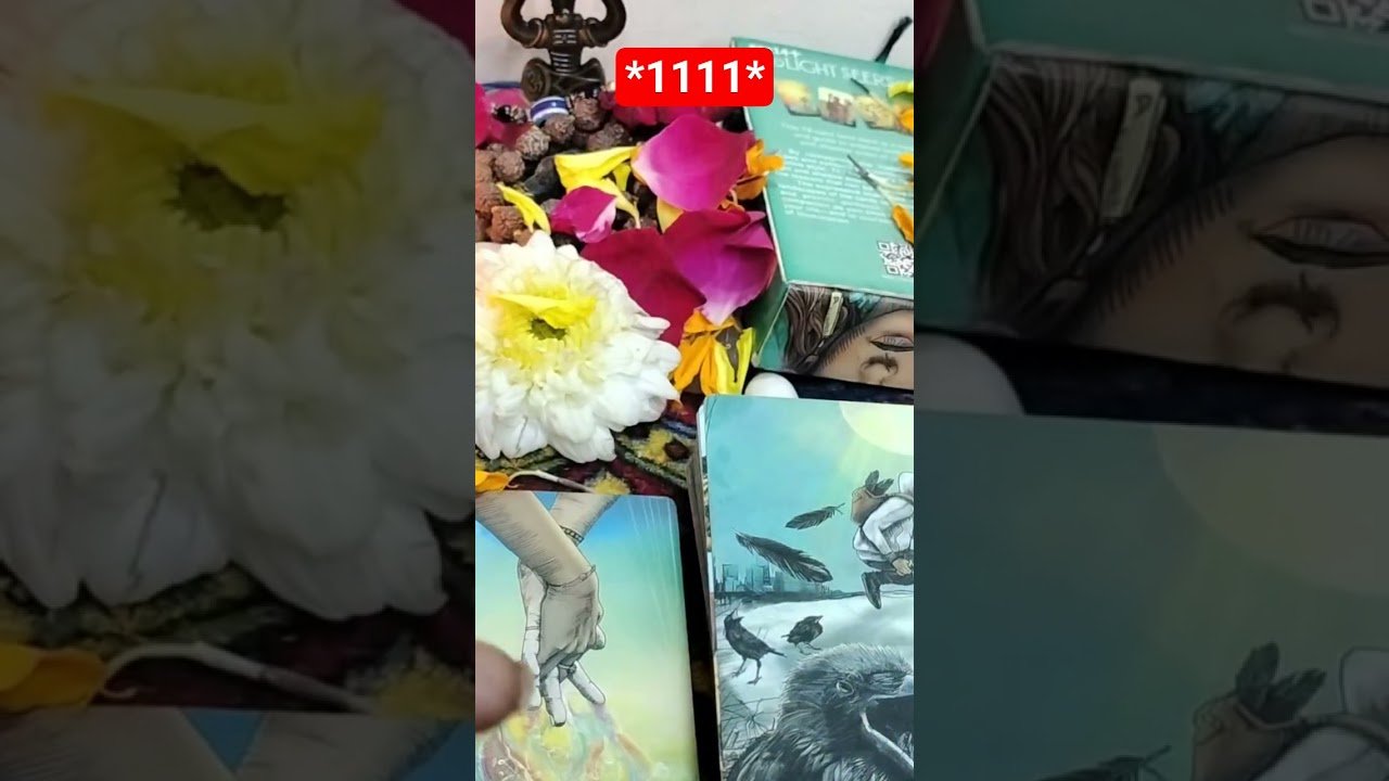 No momento, você está visualizando love #tarot #devinerelation #paramatma #thespiritualsecret #whatscomingupinlovelife #viral