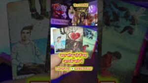 Leia mais sobre o artigo #love #tarot #reels #shorts #ytshorts #viral
