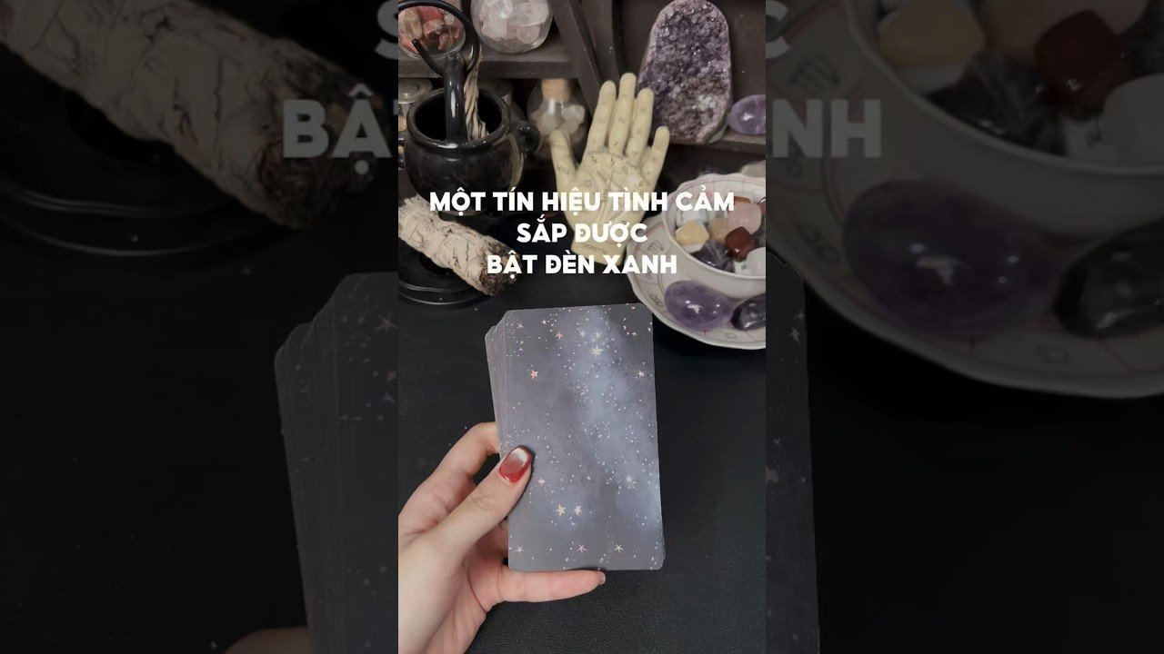 No momento, você está visualizando Một tín hiệu tình cảm sắp được bật đèn xanh #tarot #duongtarot #tarotvietnam #tarotonline #tinhyeu