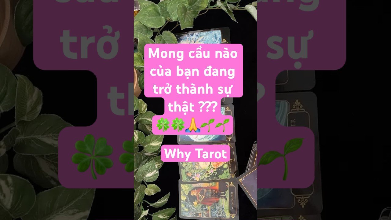 No momento, você está visualizando MONG CẦU NÀO CỦA BẠN ĐANG TRỞ THÀNH SỰ THỰC? (timeless)#tarot #tarotreading #whytarot # #tarotreader