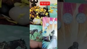 Leia mais sobre o artigo no captions, timeless reading #tarot #devinerelation #paramatma #tarotreading #viral