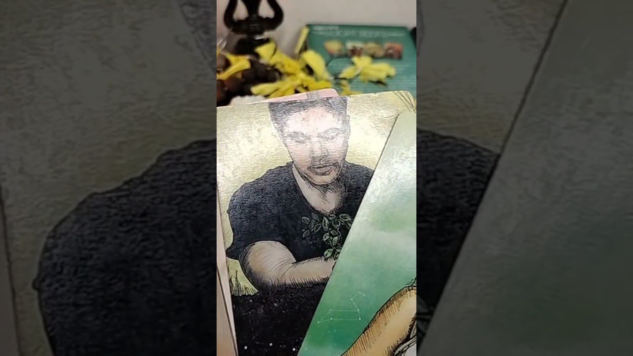 No momento, você está visualizando no captions timeless reading #tarot #devinerelation #tarotreading #paramatma #viralshort