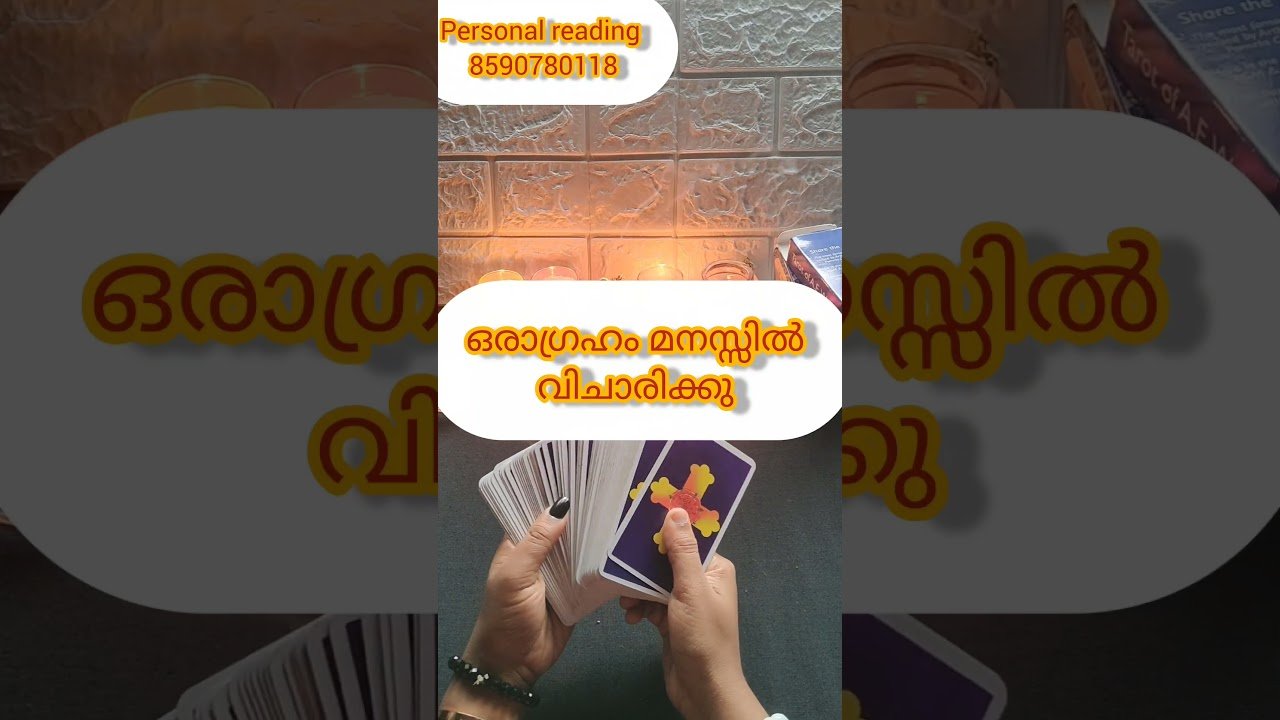 No momento, você está visualizando oragraham manasil vijariku 🙏#timelessreading #collectivereading #tarot