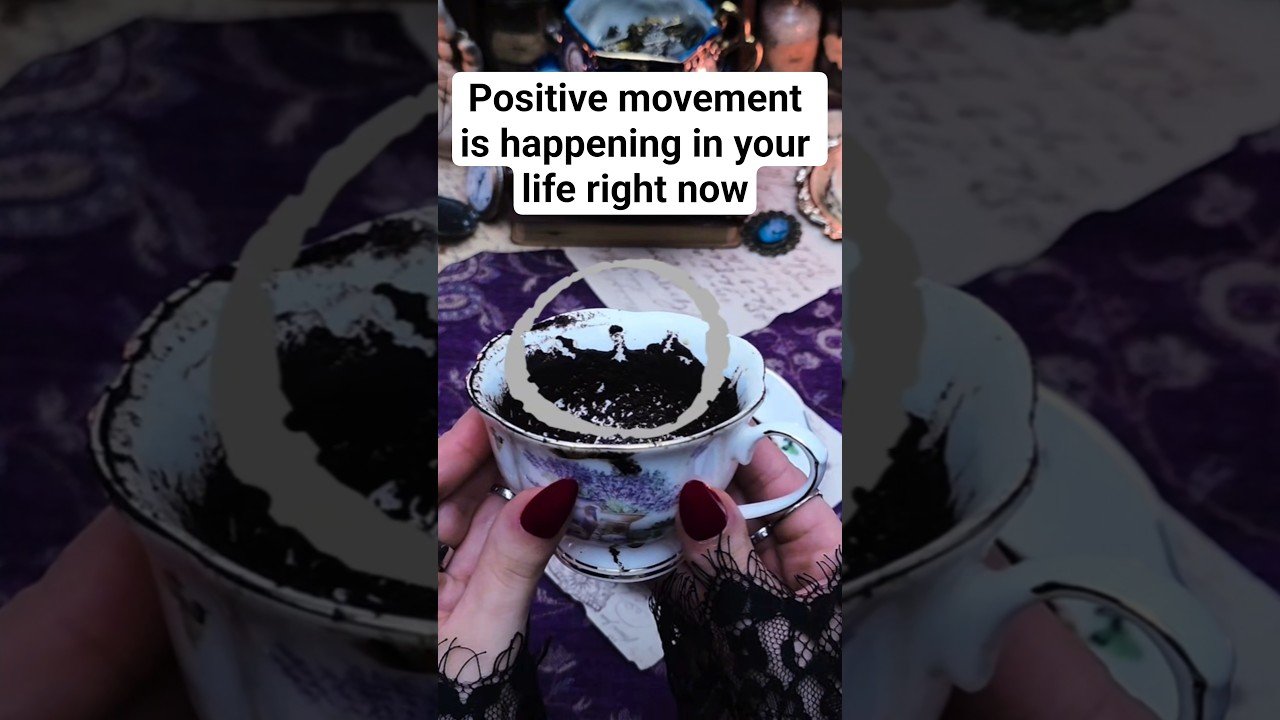 No momento, você está visualizando Positive movement is happening in your life right now #tarot #cardoftheweek #fortunetelling