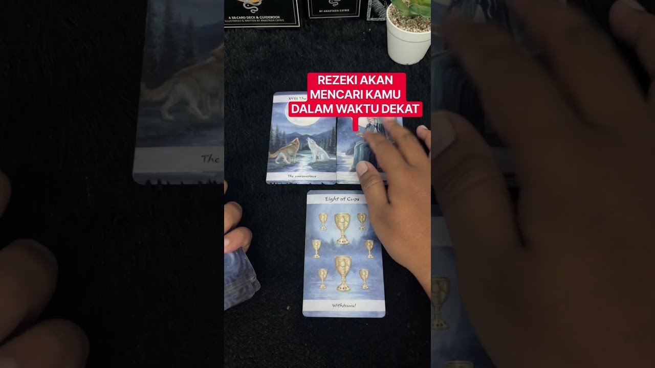 No momento, você está visualizando REZEKI AKAN MENCARI KAMU DALAM WAKTU DEKAT #tarot #tarotreading
