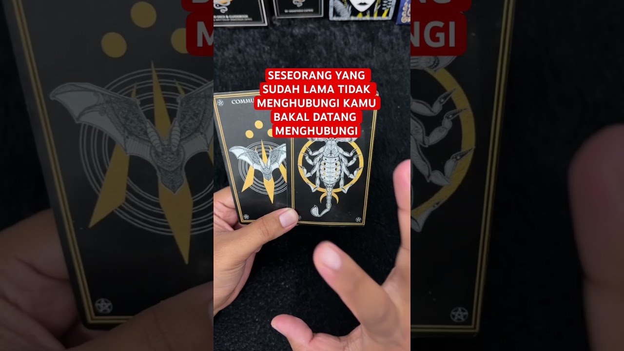 No momento, você está visualizando SESEORANG YANG SUDAH LAMA TIDAK MENGHUBUNGI KAMU BAKAL DATANG MENGHUBUNGI #tarot #tarotreading