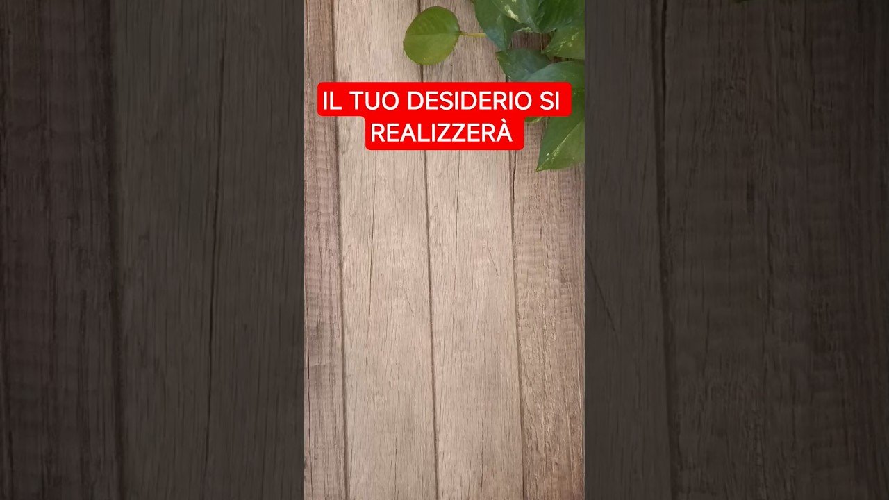 No momento, você está visualizando STAI ANDANDO NELLA DIREZIONE GIUSTA🔮 #itarocchidicristy #tarocchi #tarot #tarocchioggi