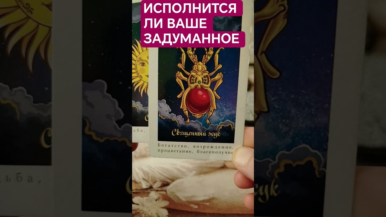 No momento, você está visualizando #tarot  #таро #tarotreading  #таролог