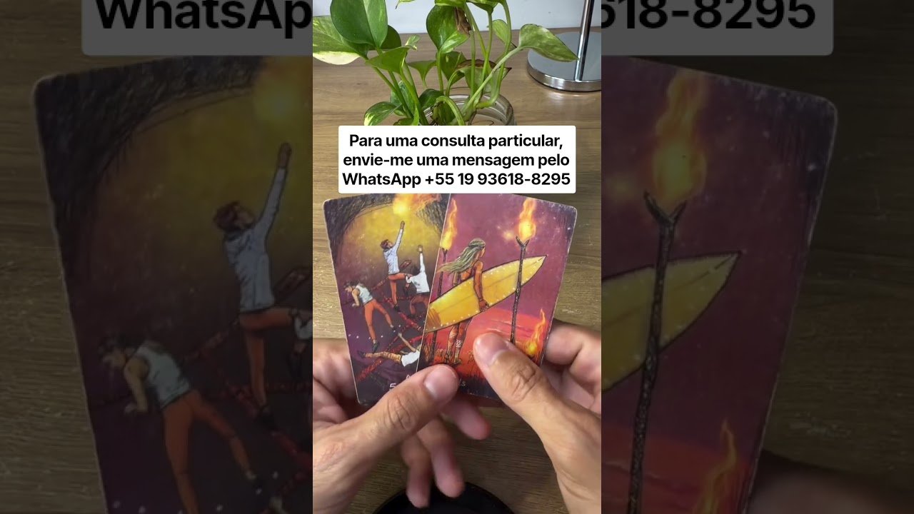 No momento, você está visualizando #tarot