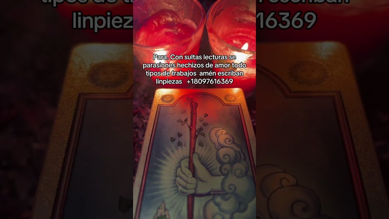 No momento, você está visualizando #tarot #amarres decrétalo con un hacisera 777 trabajos al link del perfil amén