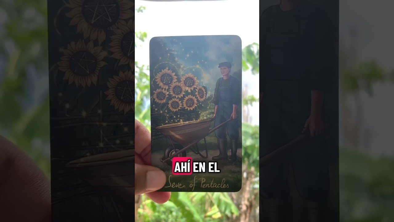 No momento, você está visualizando #tarot #amarresdeamor #fyp #tips #usa🇺🇸