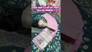 Leia mais sobre o artigo #tarot #xuhuong #strend #ChiTarotLove #xembaitarot #tubai #tarottinhyeu #tarottinhcam #chualanh