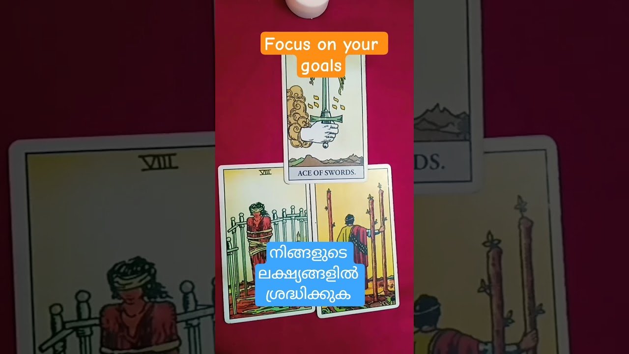 No momento, você está visualizando #tarot#tarotcardblessings#focusongoals#shorts